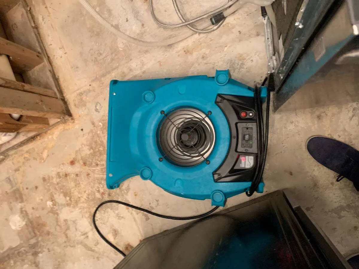 Air mover drying equipment for Mold Remediation & Removal in Gainesville